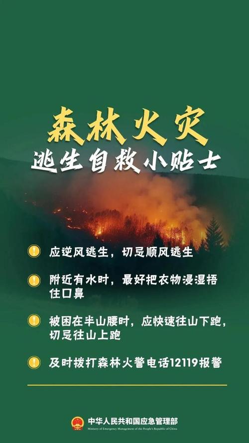 全国都关注四川山火，夺去了孩子们的生命，报道中有个词叫“爆燃”，它是怎么形成的辟谣凉山森林大火的句子四川凉山木里通报“3·28”森林火灾：11岁男孩点燃树木引发，你怎么看这件事 科技1