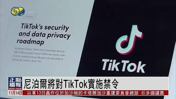 尼泊尔为什么不能用tiktok尼泊尔解禁了吗尼泊尔解禁TikTok 屏幕