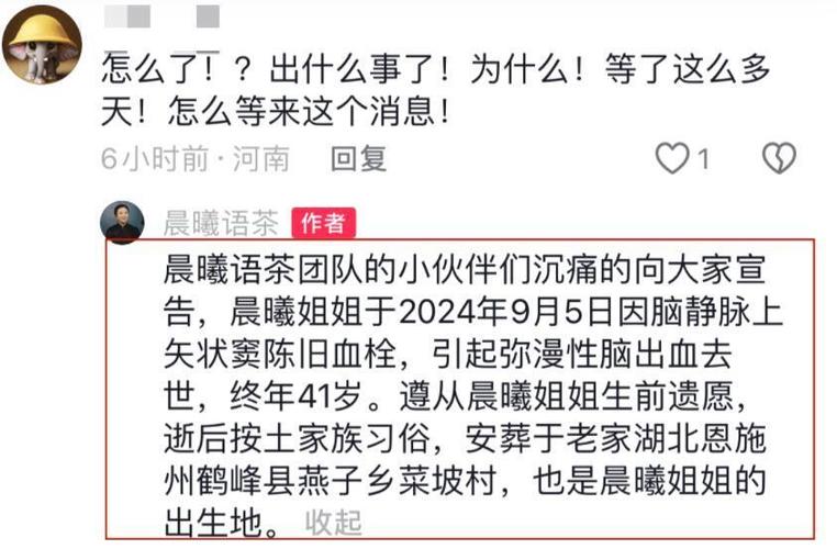 你觉得最真实的网红有哪个网红离世一个月网红去世妻子忙带货 软件