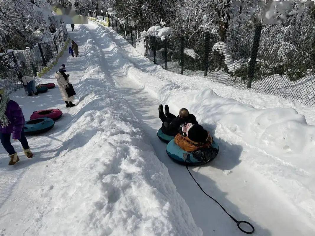 2021年峨眉山滑雪场门票滑雪机器人设计图滑雪场，可以带狗狗进去么 电脑